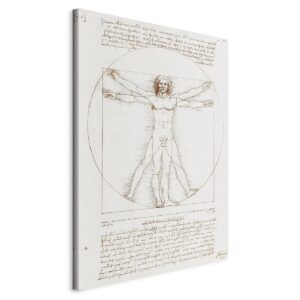 Schilderij - Vitruvian Man (Proportions of the human body according to Vitruvius)