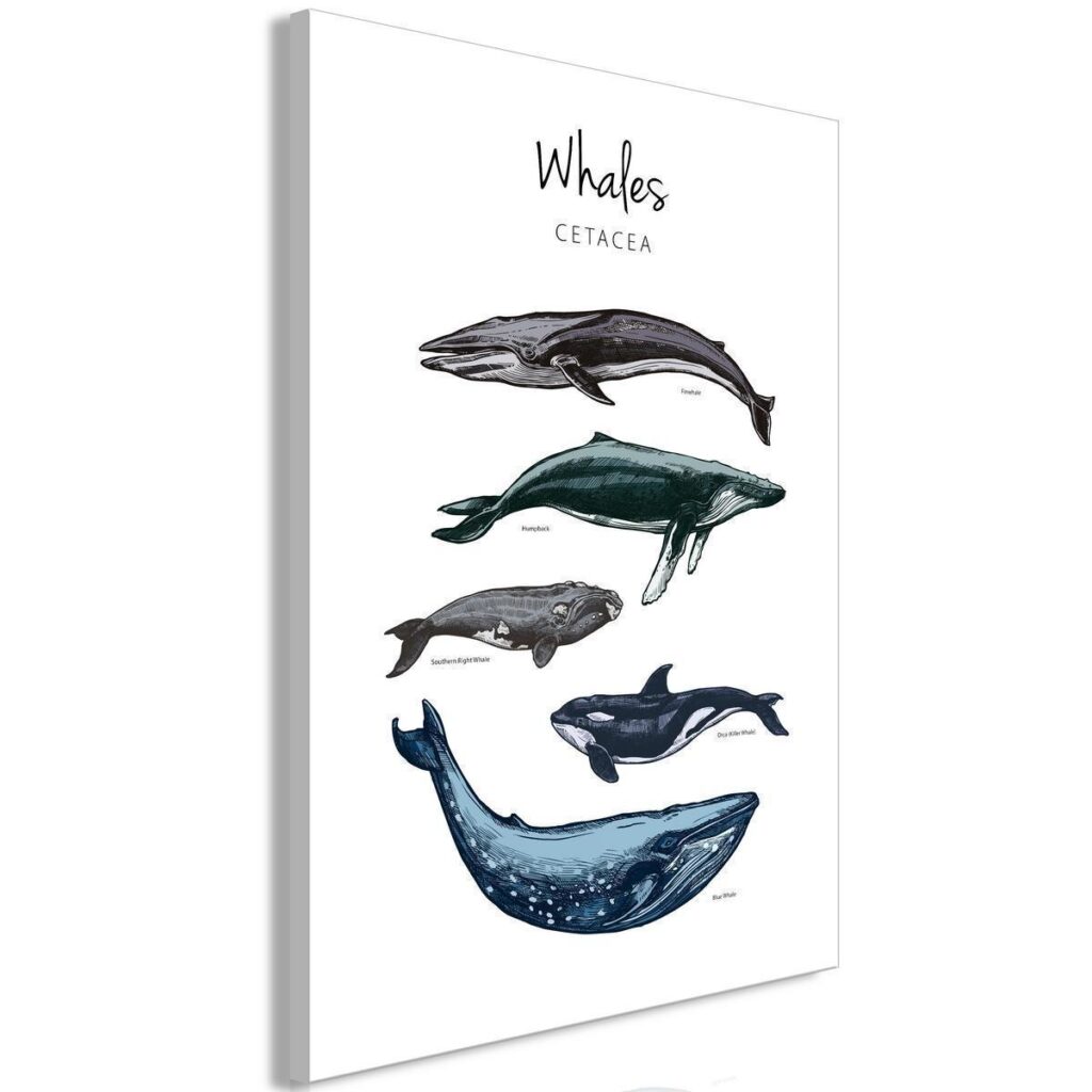Schilderij - Whales (1 Part) Vertical - Afbeelding 2