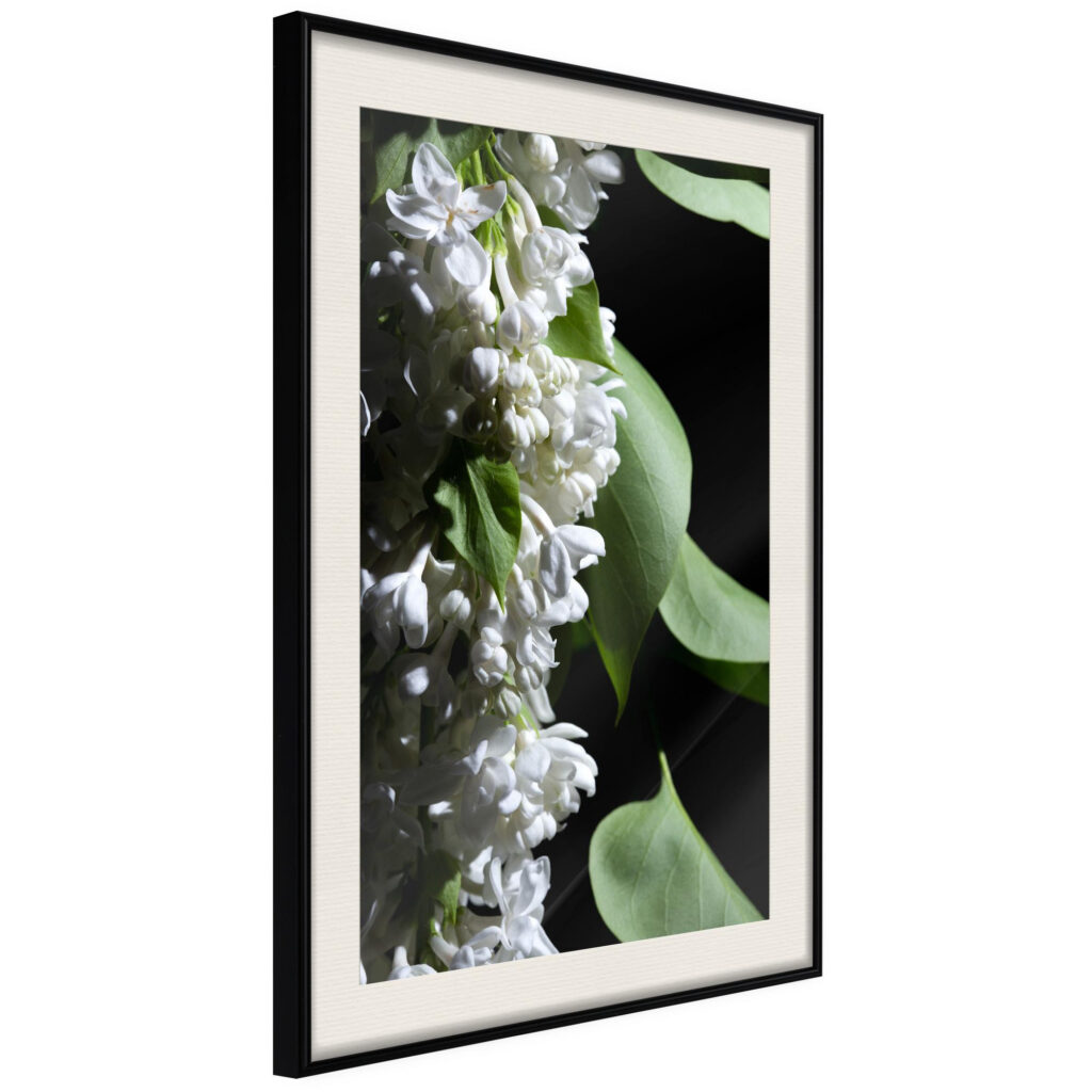Fragrant Spring