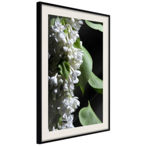 Fragrant Spring