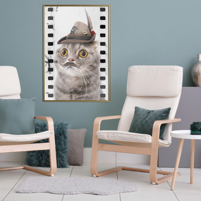 Dressed Up Cat