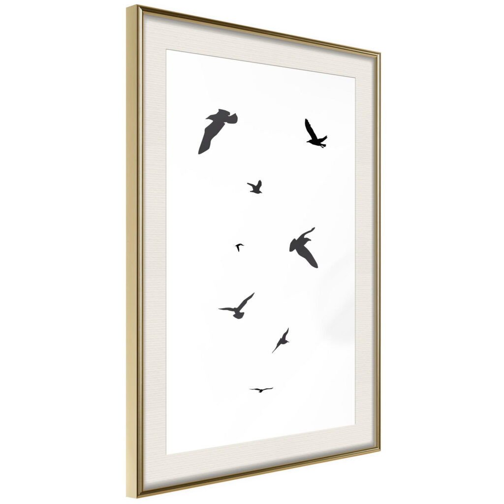 Birds