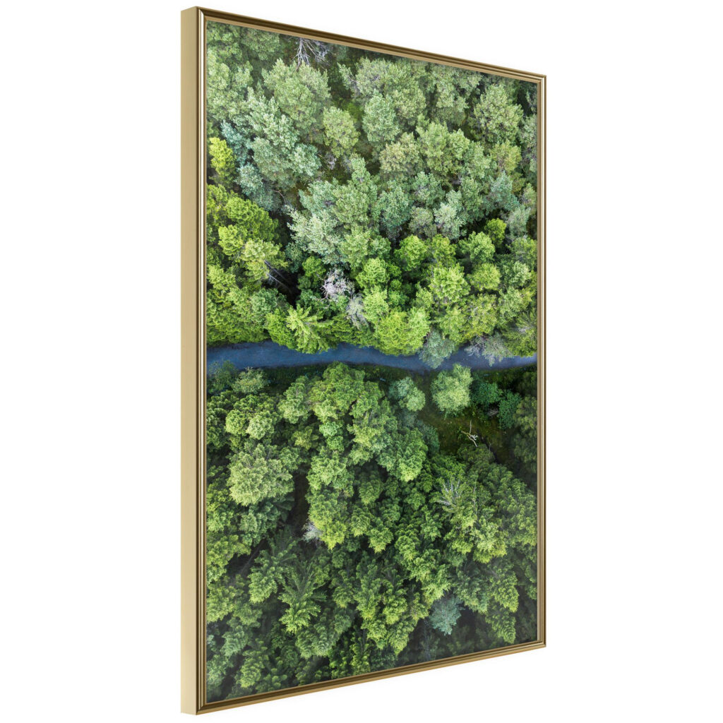 Forest from a Bird's Eye View - Afbeelding 2