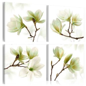 Schilderij - Admiration of Magnolia