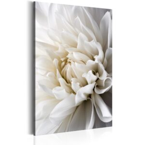 Schilderij - White Dahlia