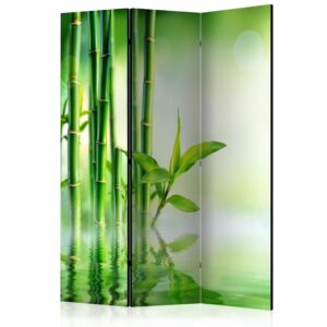 Vouwscherm - Green Bamboo [Room Dividers]