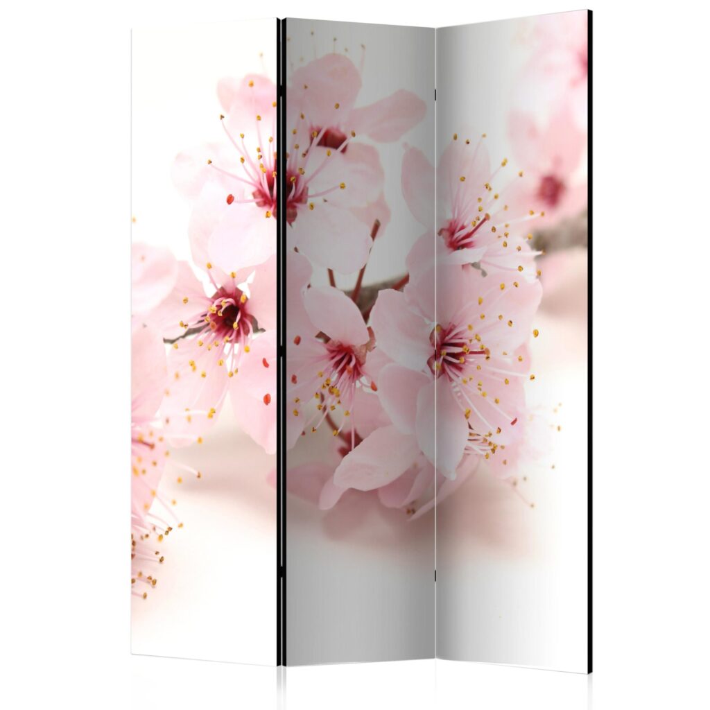 Vouwscherm - Cherry Blossom [Room Dividers]