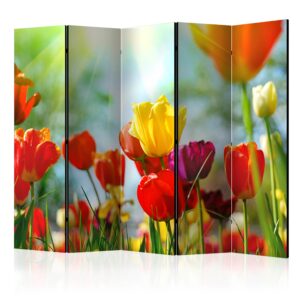 Vouwscherm - Spring Tulips II [Room Dividers]