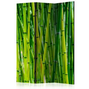 Vouwscherm - Bamboo Forest [Room Dividers]