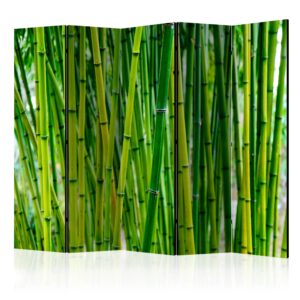 Vouwscherm - Bamboo Forest II [Room Dividers]
