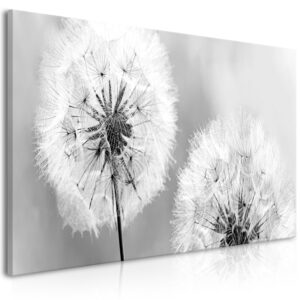 Schilderij - Fluffy Dandelions (1 Part) Grey Wide