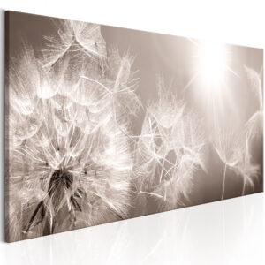 Schilderij - Summer Dandelions
