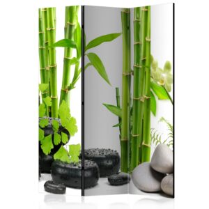 Vouwscherm - Bamboos and Stones [Room Dividers]