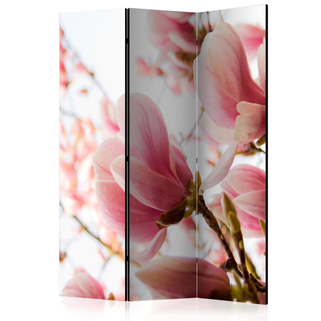 Vouwscherm - Pink magnolia [Room Dividers]