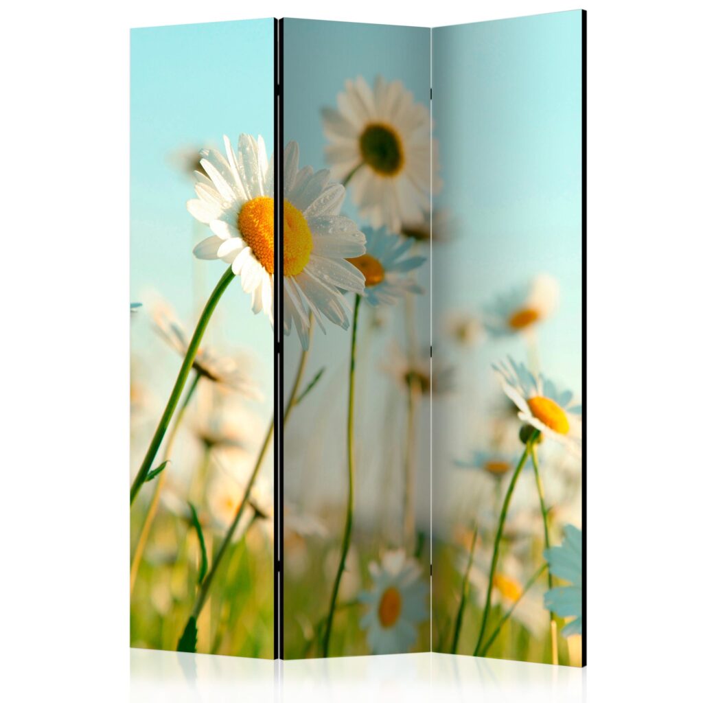 Vouwscherm - Daisies - spring meadow [Room Dividers]