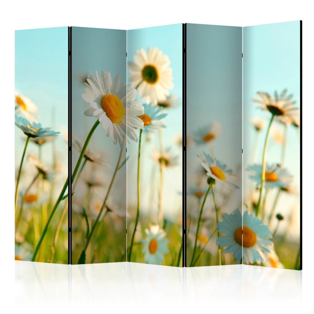 Vouwscherm - Daisies - spring meadow II [Room Dividers]