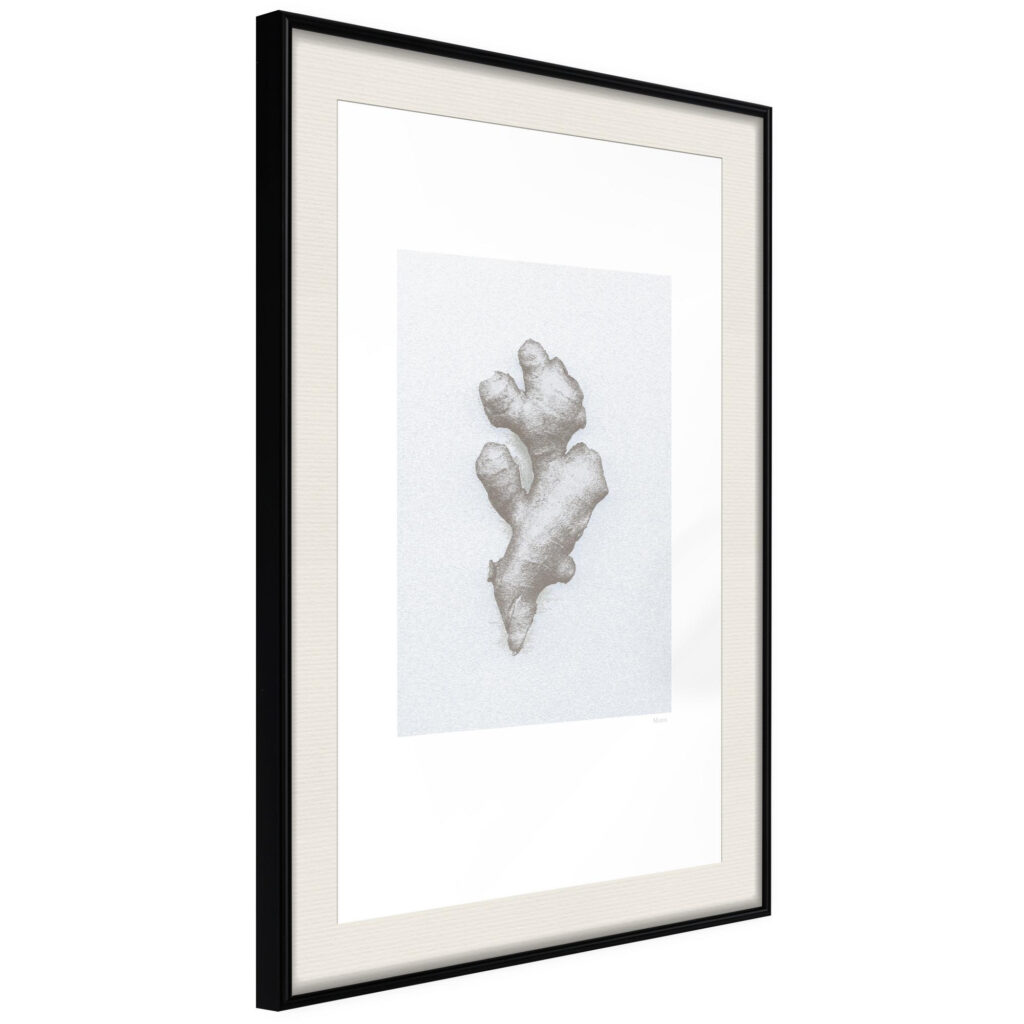 Ginger Rhizome - Afbeelding 2