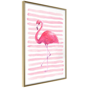 Pink Madness