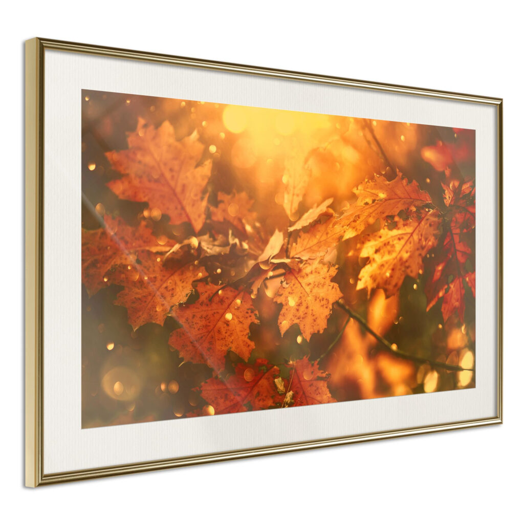Golden Autumn - Afbeelding 2