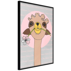 Cute Llama