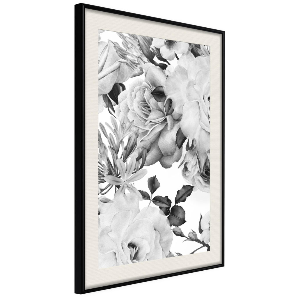 Black and White Nature