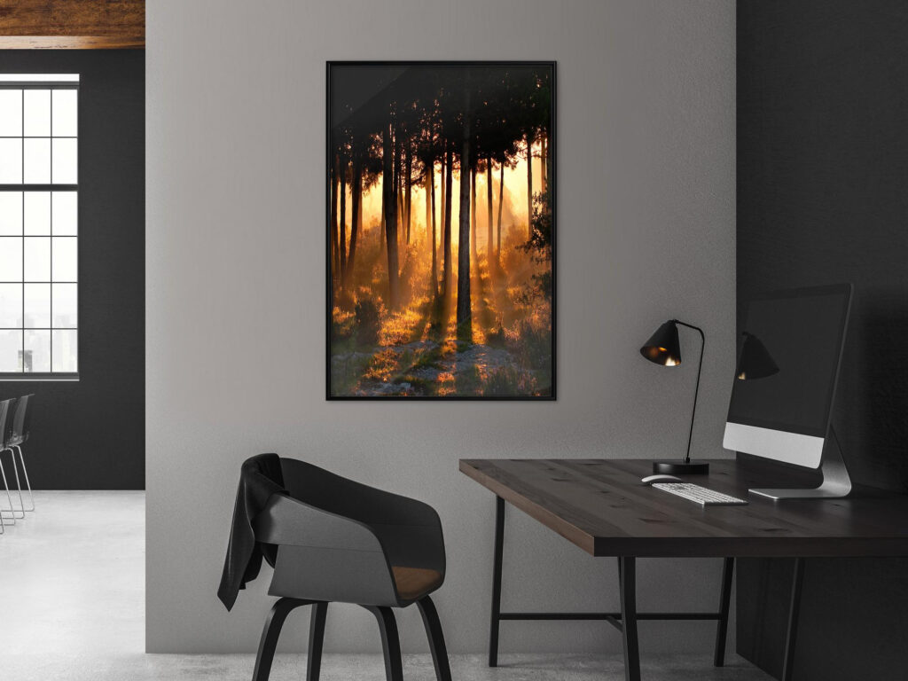 Dark Tree Tops - Afbeelding 4