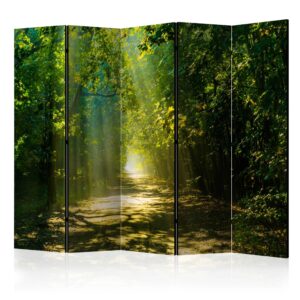 Vouwscherm - Road in Sunlight II [Room Dividers]