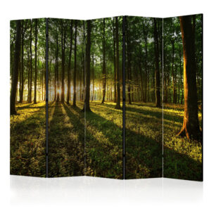 Vouwscherm - Morning in the Forest II [Room Dividers]