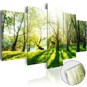 Afbeelding op acrylglas - Green Glade [Glass]