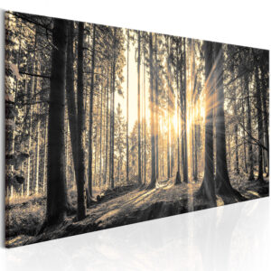 Schilderij - Forest Sun
