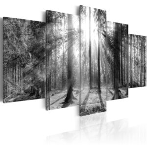 Schilderij - Forest of Memories