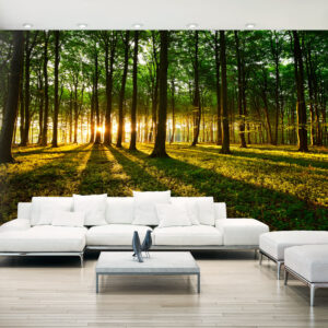 Fotobehang XXL - Mystical Morning II