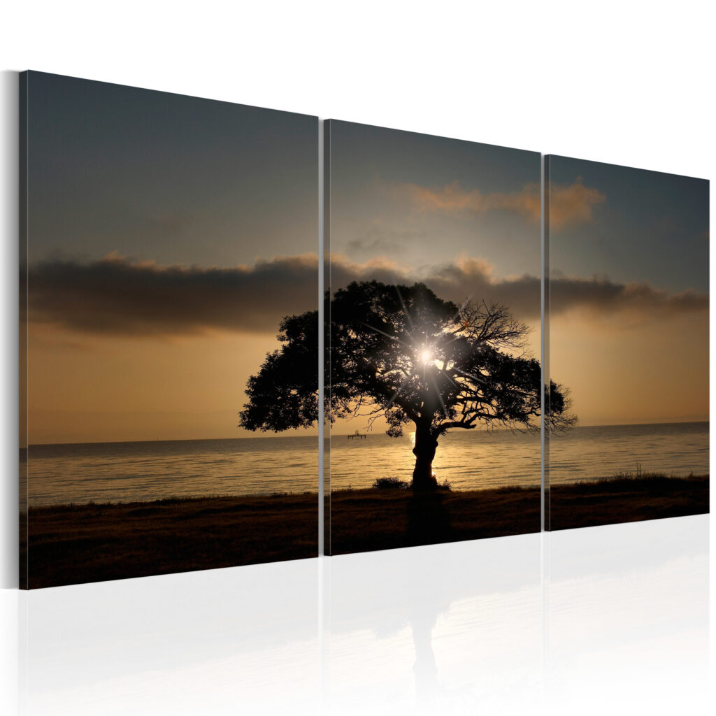Schilderij - Extraordinary Nature