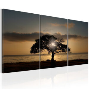 Schilderij - Extraordinary Nature