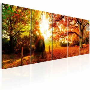 Schilderij - Enchanting Autumn