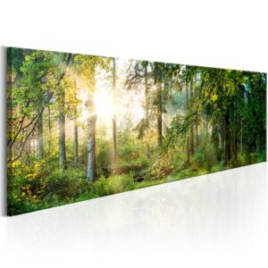 Schilderij - Forest Shelter