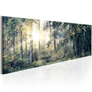 Schilderij - Morning Magic