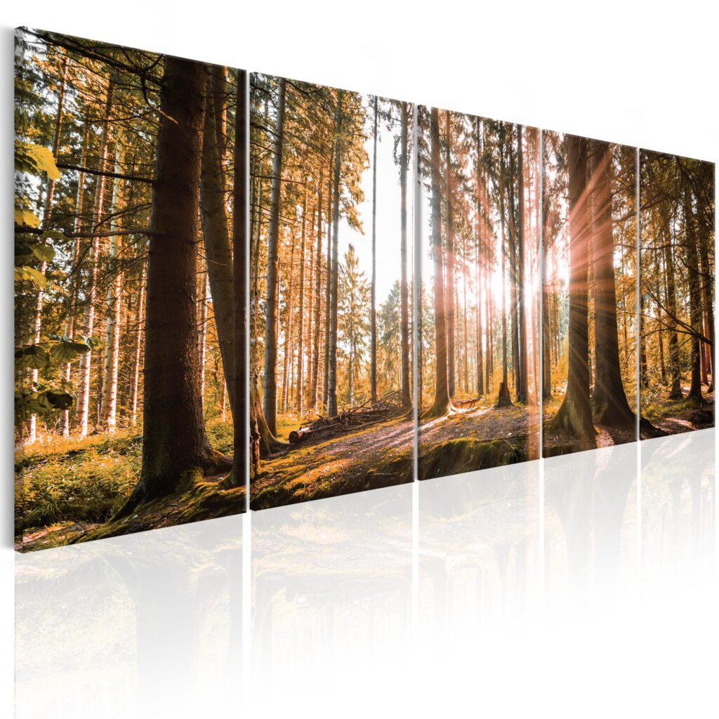 Schilderij - Beauty of Nature