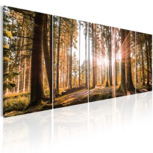 Schilderij - Beauty of Nature