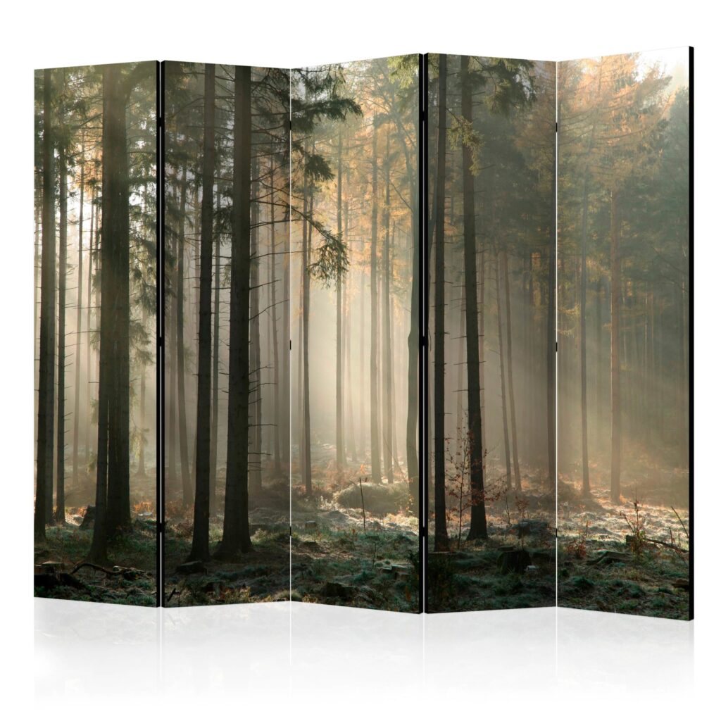 Vouwscherm - Foggy November morning II [Room Dividers]