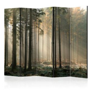 Vouwscherm - Foggy November morning II [Room Dividers]