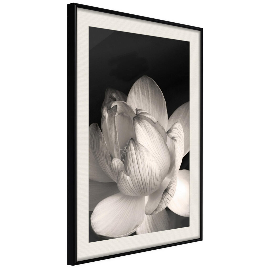 Delicacy of a Flower - Afbeelding 2
