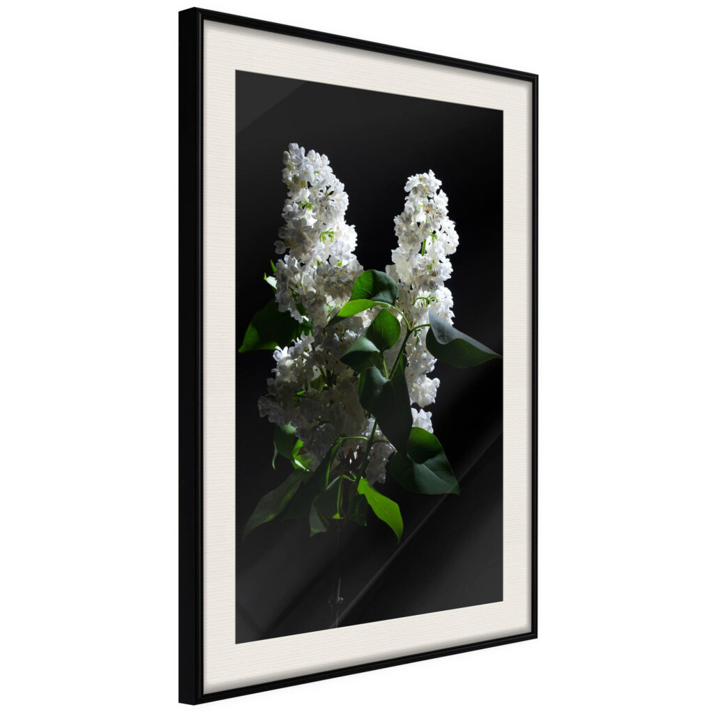 White Lilac - Afbeelding 2