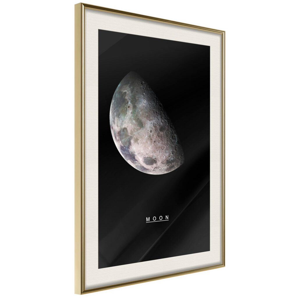 The Solar System: Moon