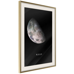 The Solar System: Moon