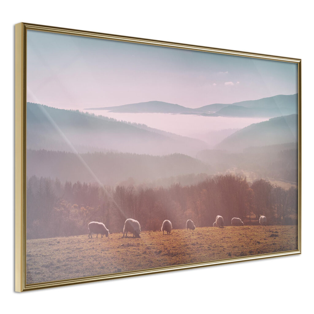 Mountain Pasture