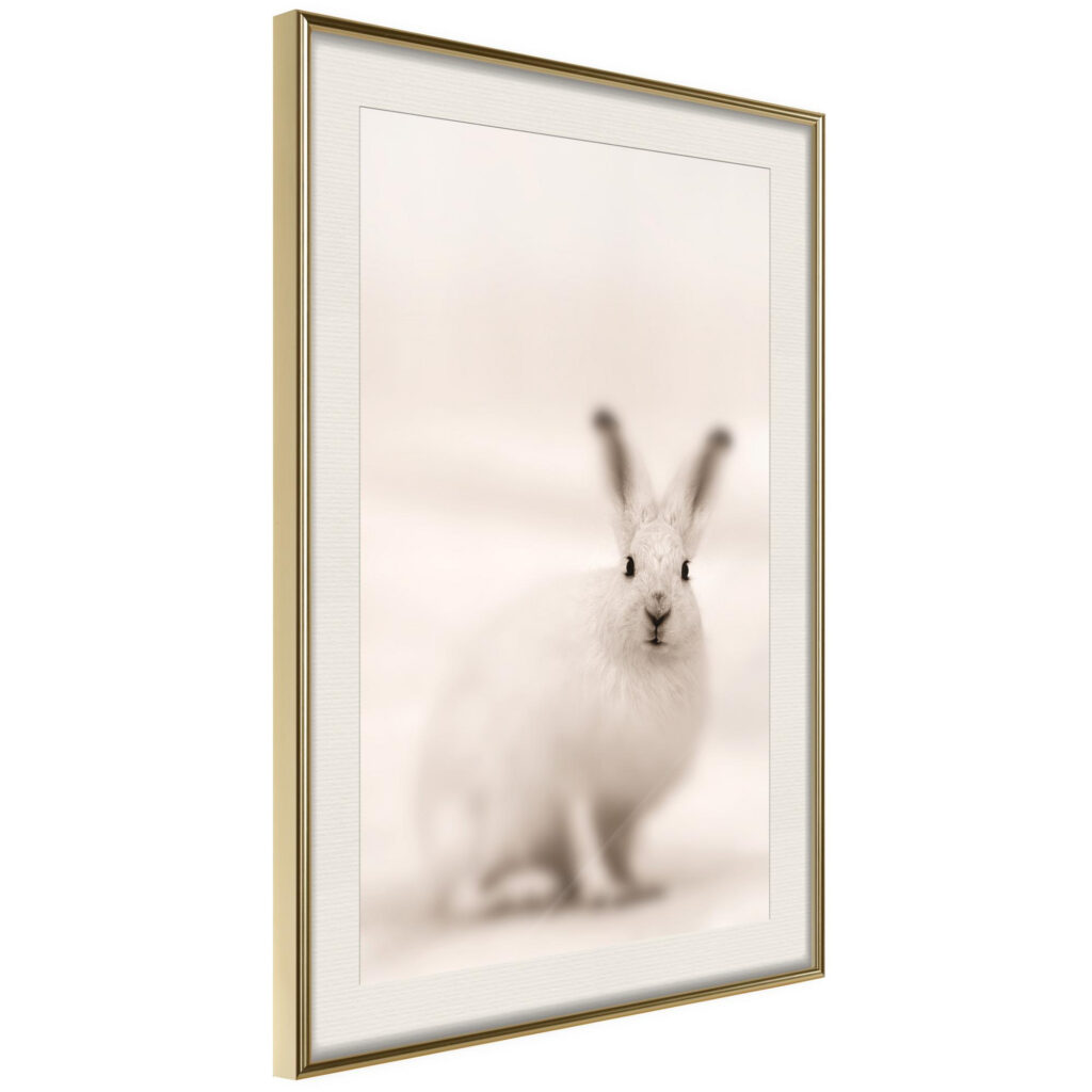 Curious Rabbit - Afbeelding 2