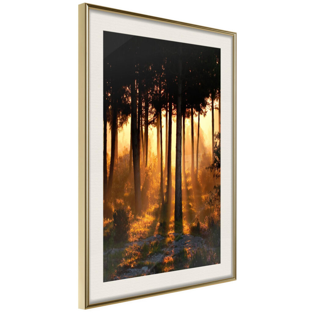 Dark Tree Tops - Afbeelding 3