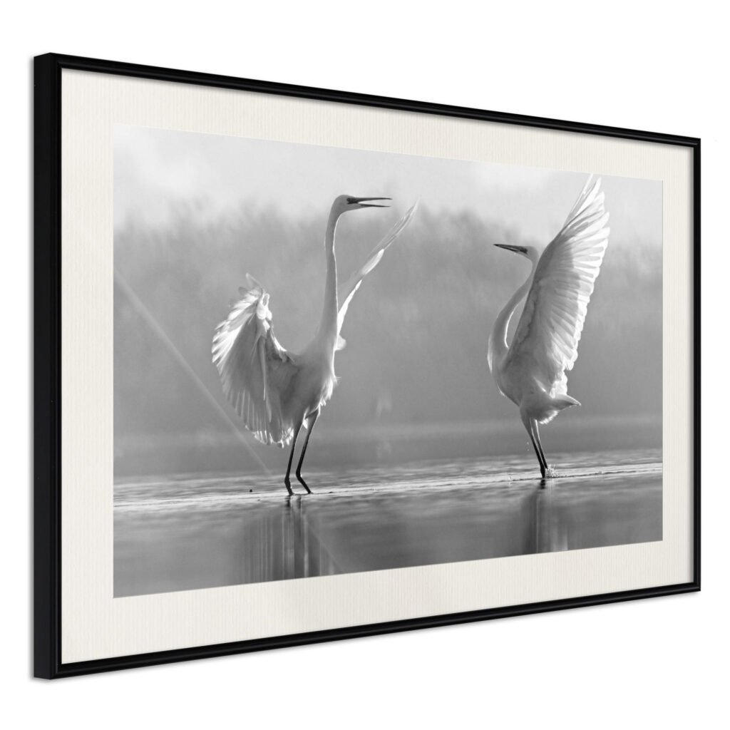 Black and White Herons - Afbeelding 2