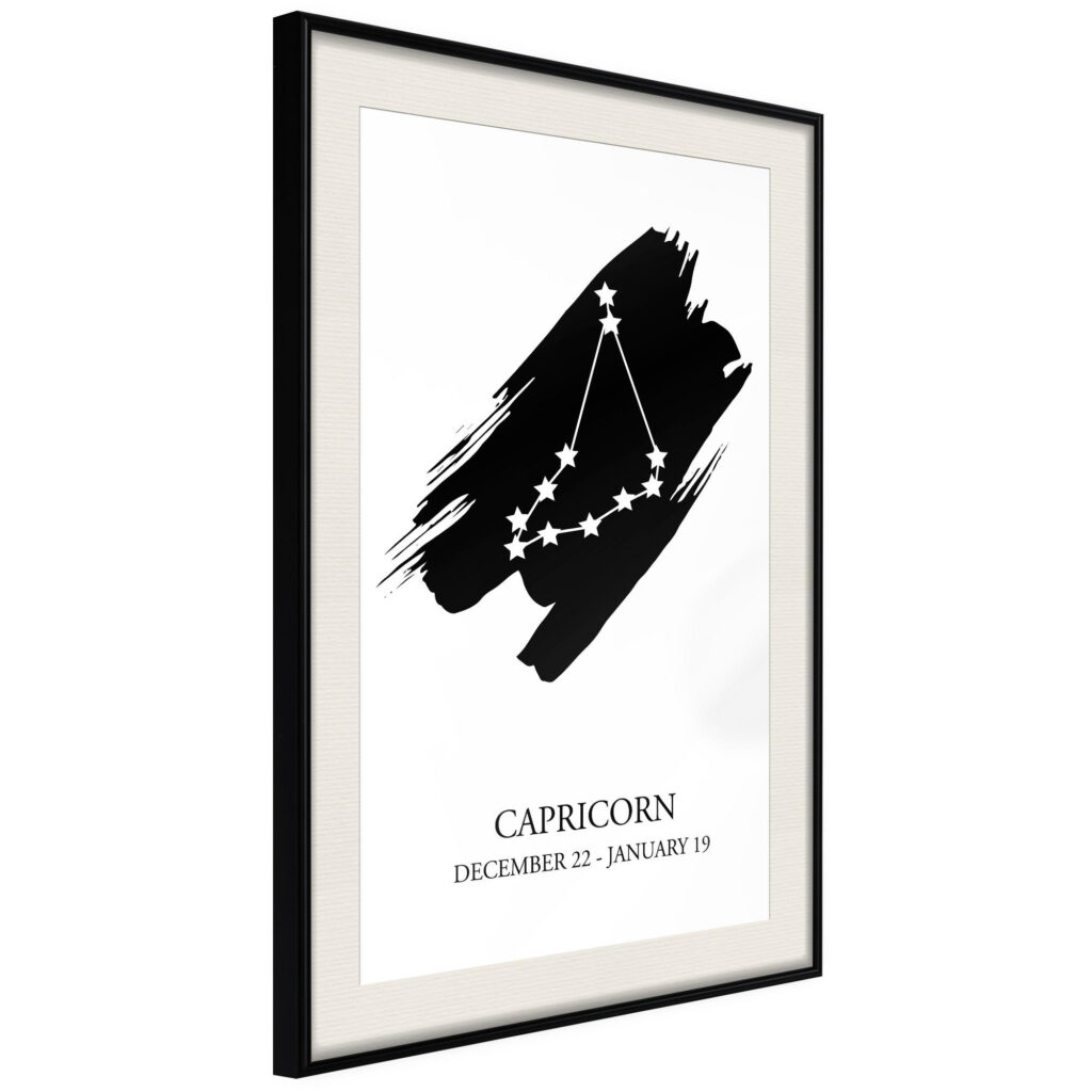 Zodiac: Capricorn I